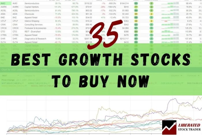 How to Pick Growth Stocks for 2024