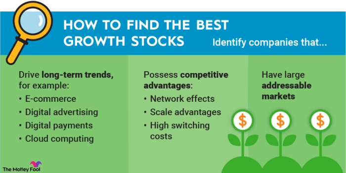 Growth stocks next investing years buy