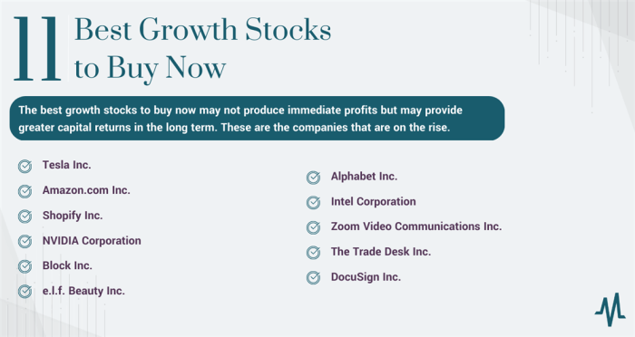 High-Potential Growth Stocks